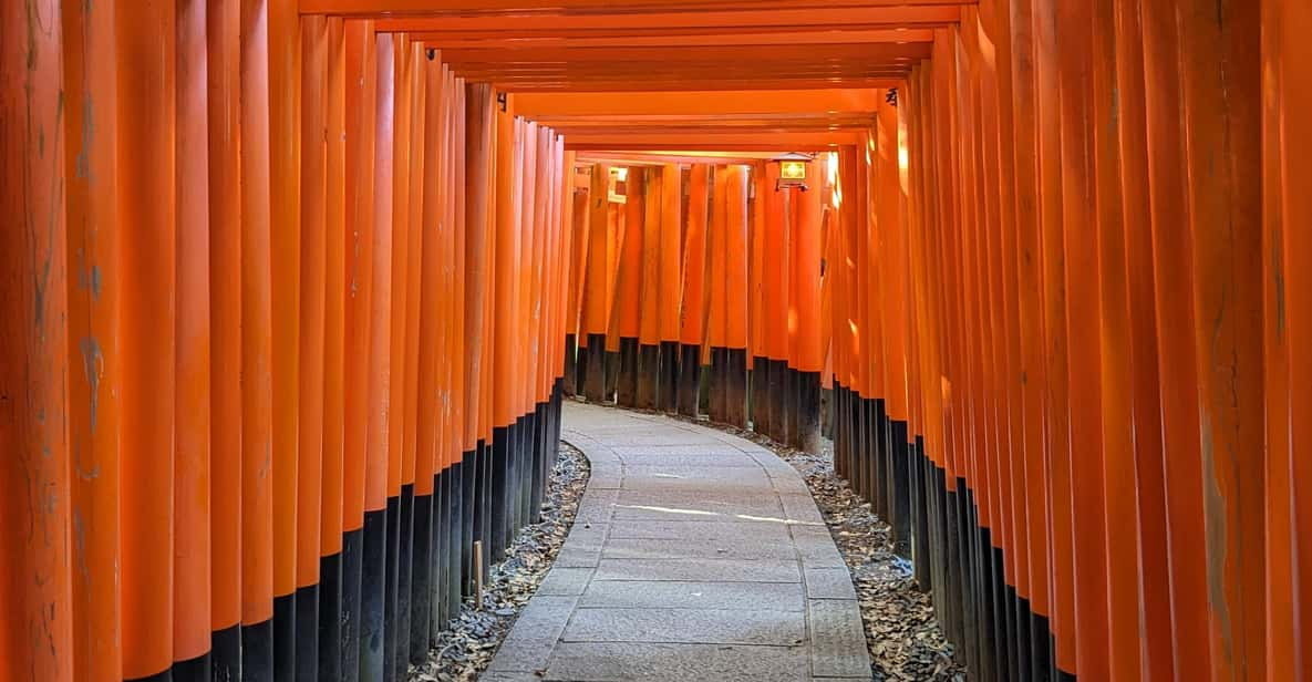 Kyoto Fushimi Inari Shrine: Break of Dawn Tour - Recap