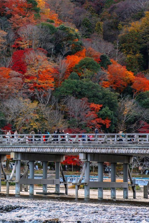 Kyoto/Osaka: Sanzen-in and Arashiyama Day Trip - Recap