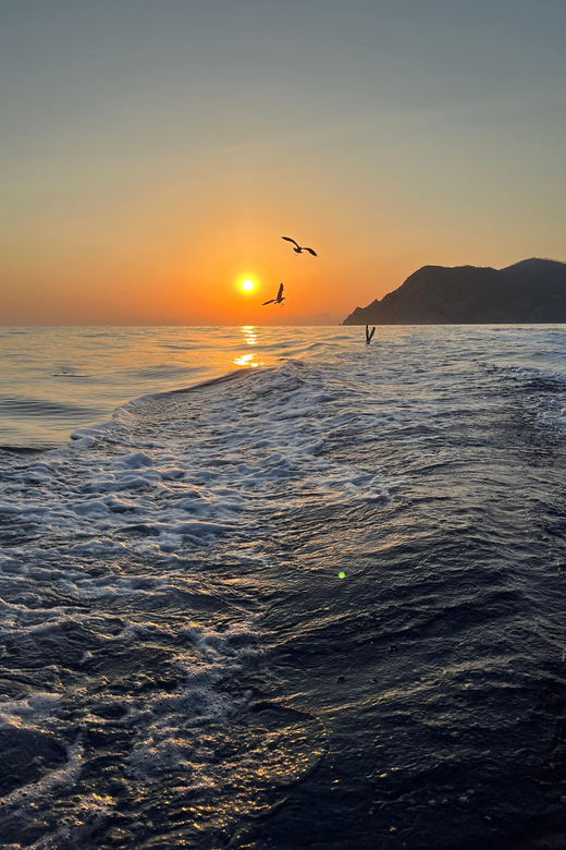 La Spezia: Cinque Terre Morning or Sunset Tour With Aperitif - Frequently Asked Questions