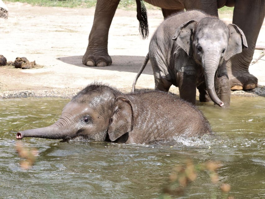 Leipzig: Zoo Admission Ticket - Frequently Asked Questions