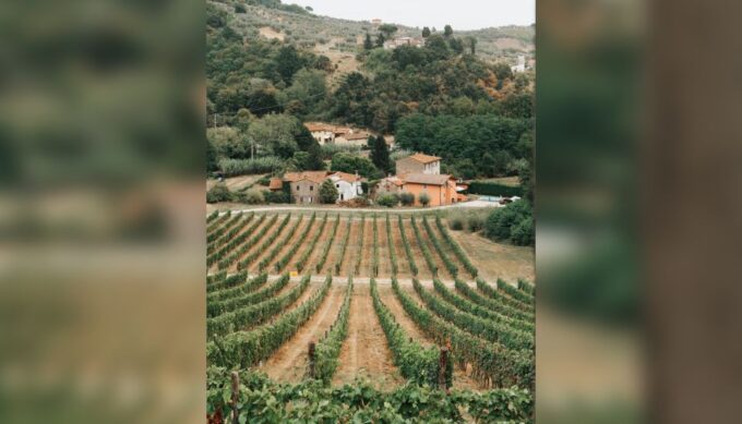 Lucca: Guided Winery Tour With Wine Tasting - Frequently Asked Questions