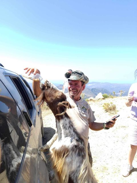 Malia: Land Rover Safari Lasithi Plateau and Zeus Cave - Frequently Asked Questions