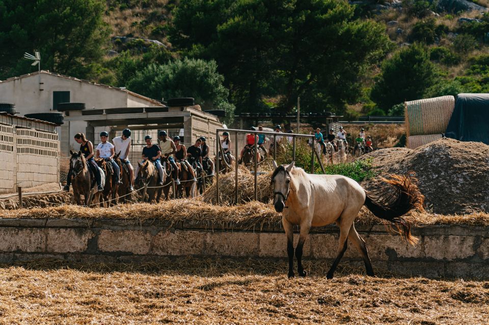 Mallorca: Horseback Riding Experience With Food Options - Frequently Asked Questions