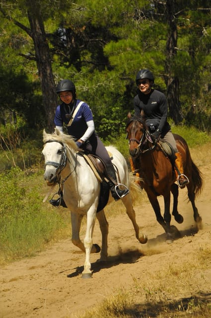 Manavgat Side: Horse Riding on the Beach and in the Forest - Frequently Asked Questions