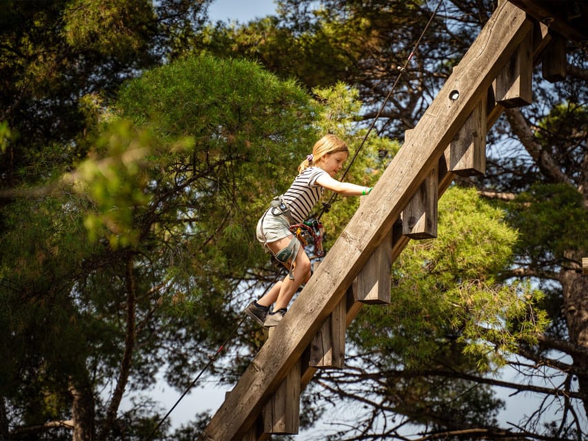 Marseille: Ecopark Adventures Treetop Adventure - Sum Up