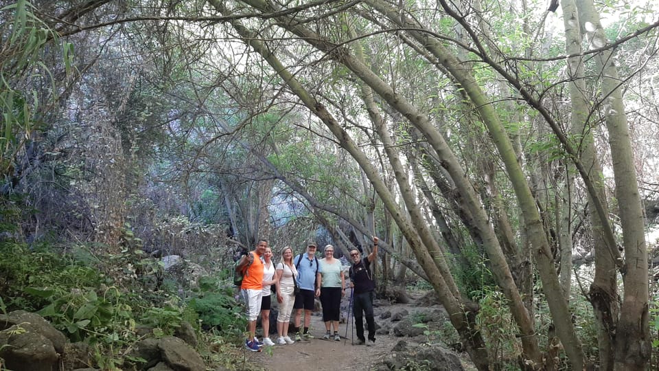 Maspalomas: Barranco De Los Cernicalos Rainforest Hike - Customer Feedback and Ratings