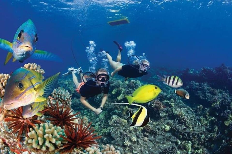 Maui: Thrilling Koa Kai Afternoon Snorkel Adventure - Frequently Asked Questions