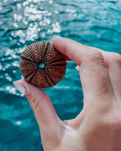 Meeting Point: Obala Kneza Branimira 27A - Frequently Asked Questions