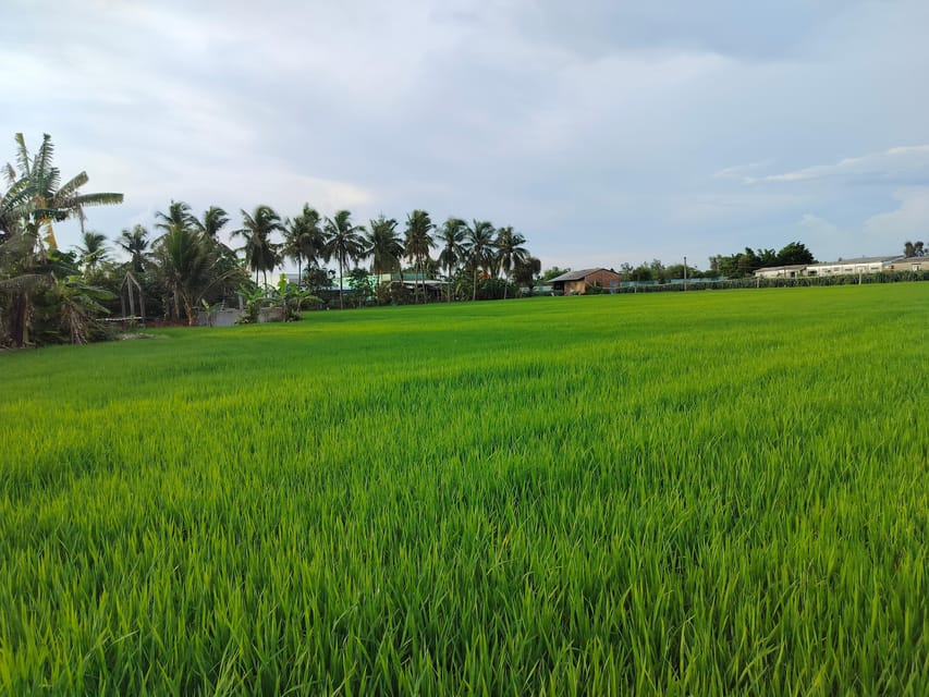 Mekong Delta 1day Cycling Cooking Classes Small Group 10PAX - Frequently Asked Questions