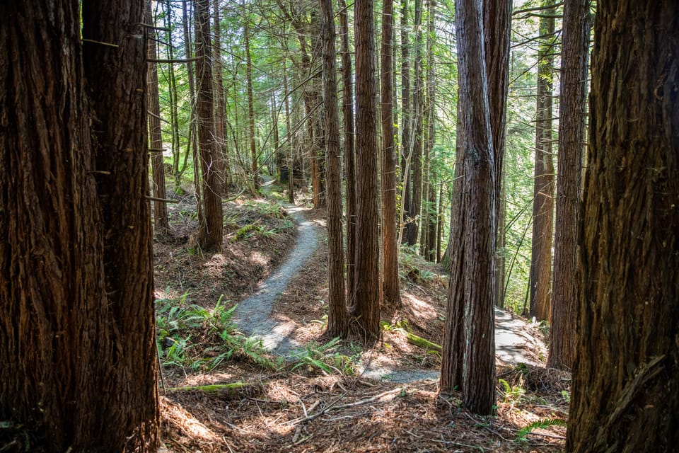 Mendocino County: Railbiking Tour Along the Noyo River - Frequently Asked Questions