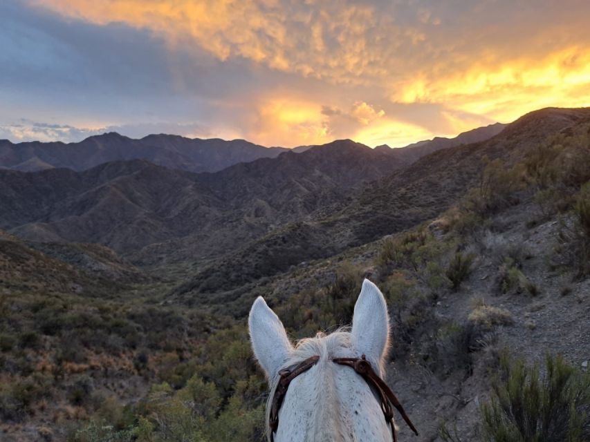 Mendoza: Sunset Horse Back Riding in the Mountains and BBQ - Frequently Asked Questions