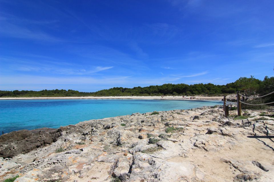 Menorca: Natural Coves and Beaches Boat Trip & Paella Lunch - Frequently Asked Questions