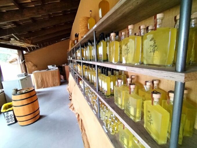Menton Full Day: Citrus Farm, Old-Town (Botanic & Boat Exp) - Frequently Asked Questions