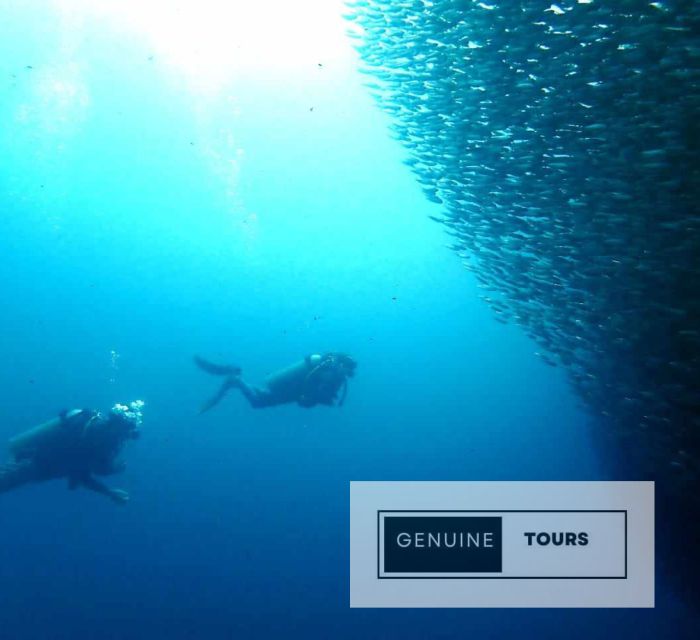 Moalboal: Scuba Diving With the Sardine and Sea Turtles - Frequently Asked Questions