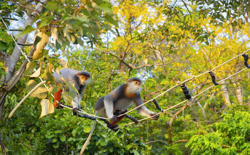 Monkey Mountains - Marble Mountains - Hoi An City at Night - Frequently Asked Questions