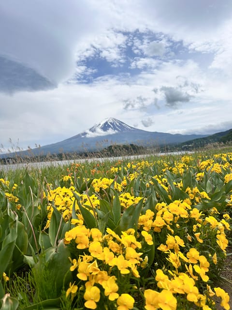 Mount Fuji One Day Private Tour by Car With English Driver - Frequently Asked Questions