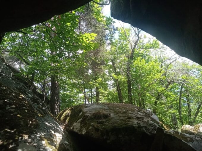 Mountain Train Experience Hiking & Mystic Forest (From Nice) - Frequently Asked Questions