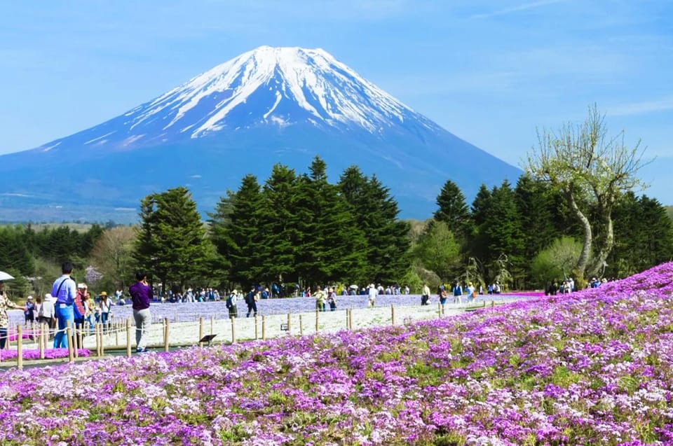 Mt.Fuji:Lake Kawaguchi,Yamanaka & Onsen Day Tour From Tokyo - Recap