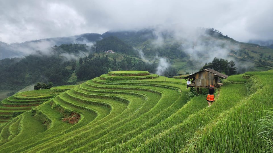 Mu Cang Chai - Ha Long Bay Tours 8D7N - Frequently Asked Questions