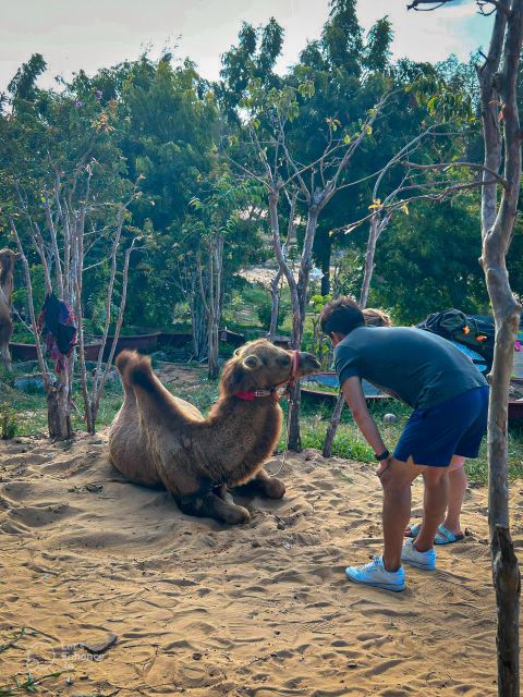 Mui Ne: Private Sand Dunes Jeep Tour at Sunrise or Sunset - Frequently Asked Questions