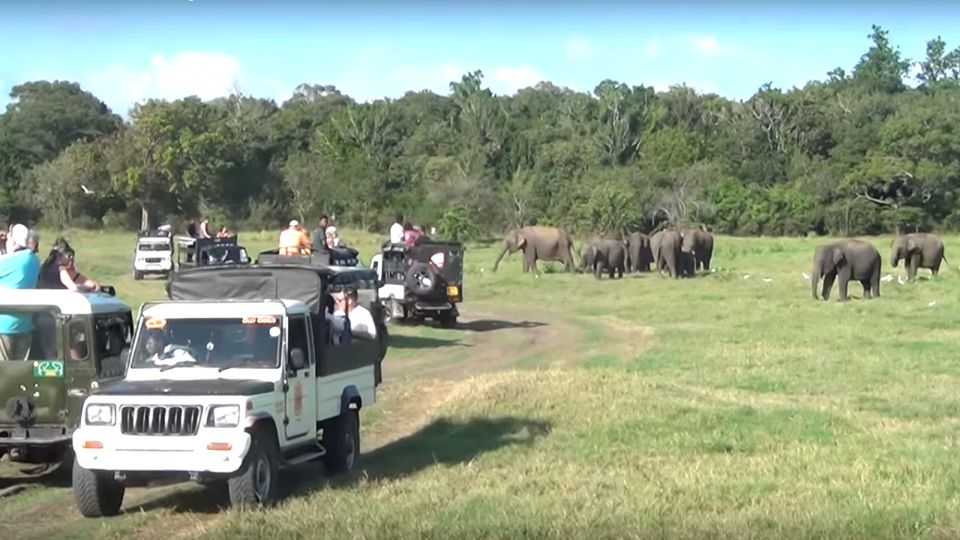 Multi-Day Tour: Udawalawe National Park Elephant Safari - Frequently Asked Questions