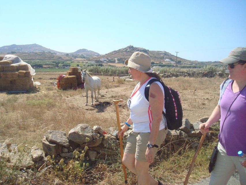 Mykonos Hiking Adventure - Frequently Asked Questions