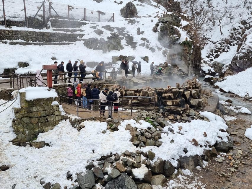 Nagano: Snow Monkey Park, Zenkoji One Day Private Tour - Frequently Asked Questions