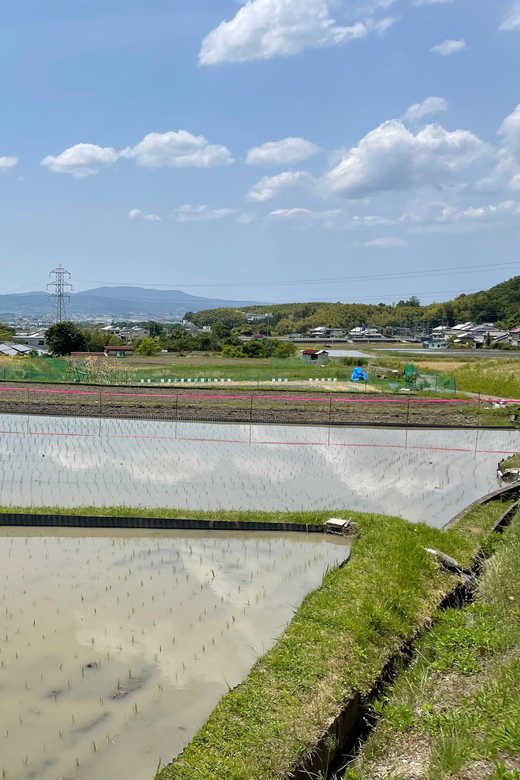 Nara: Discover Countryside– Landscape and Mysterious History - Recap