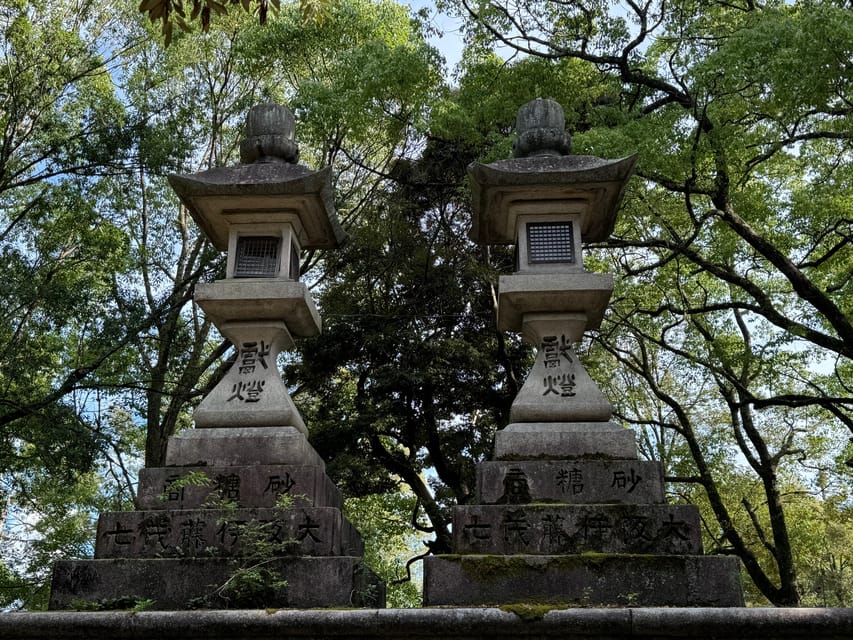 Nara: Explore Kasuga Taisha Shrine in Just 90 Minutes. - Recap