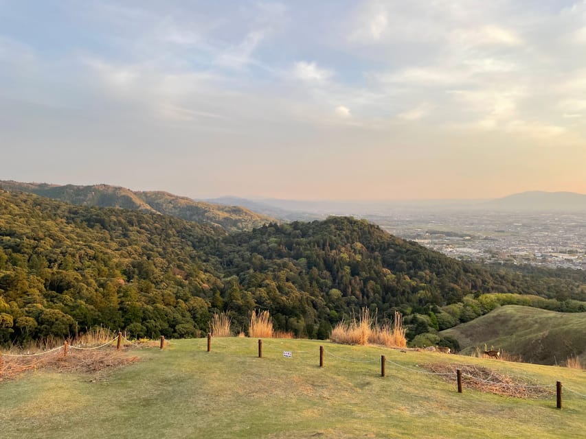 Nara: Hiking the Forest, Big Buddha, Deer, Shrine, Sun Set - Recap