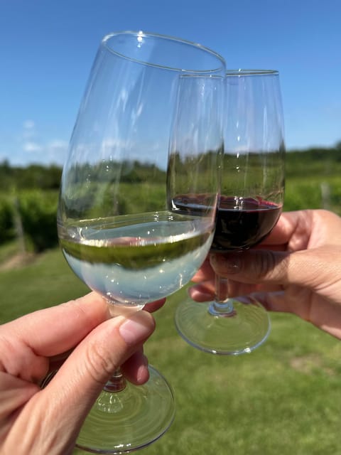 Niagara Falls Wine Tour From Toronto on RV - Motorhome - Frequently Asked Questions