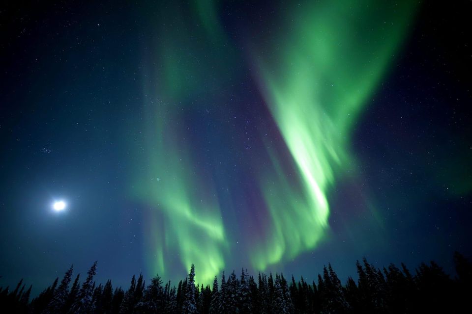 Northern Lights Hunting in Sonkamuotka - Frequently Asked Questions