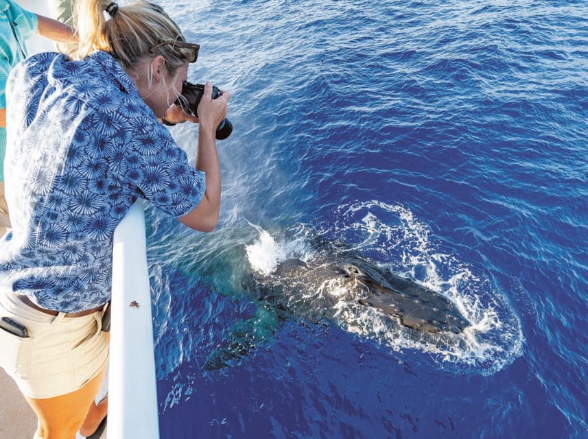 Oahu: Whale Watching Excursion From Ala Wai Harbor - Frequently Asked Questions