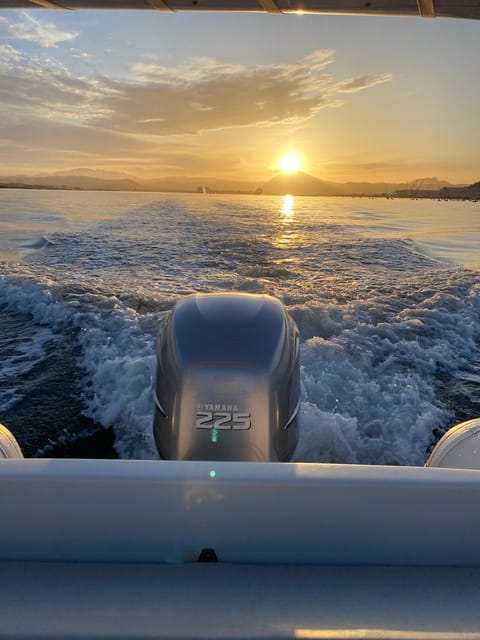 Olbia: Sunset and Dolphin Watching - Frequently Asked Questions