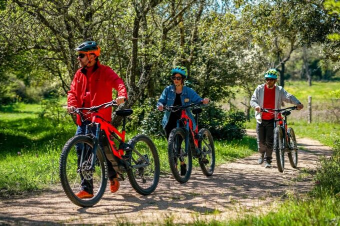 Old Railway: Premium E-Bike Tour Through an Enchanted Forest - Frequently Asked Questions
