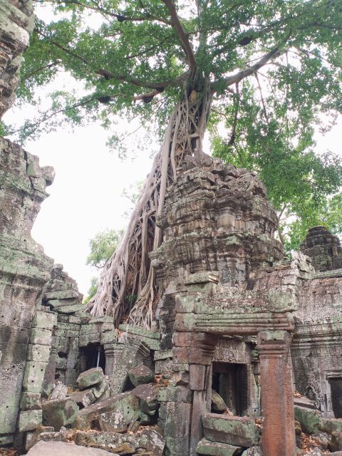 One Day Angkor Wat Trip With Sunset on Bakheng Hill - Frequently Asked Questions