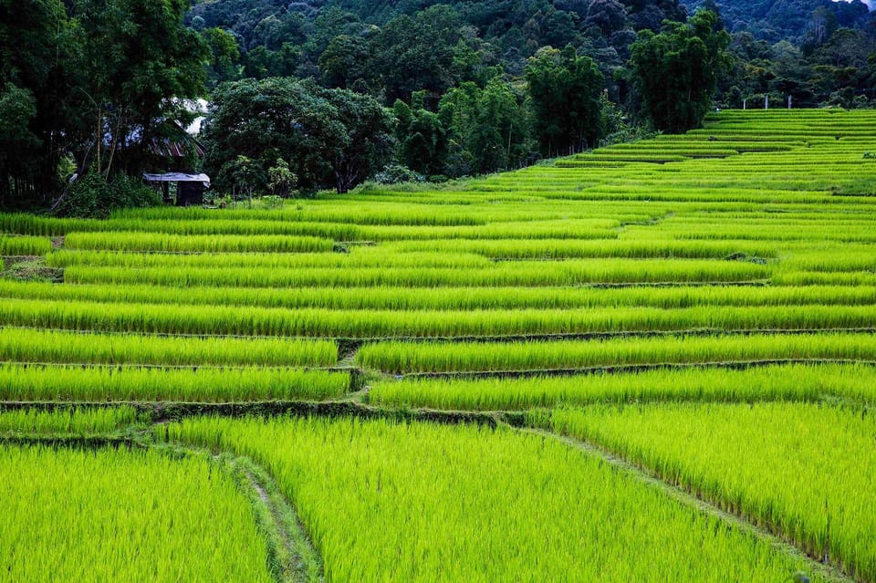 One Day Tour Doi Inthanon National Park With Guide,Lunch,Fee - Frequently Asked Questions