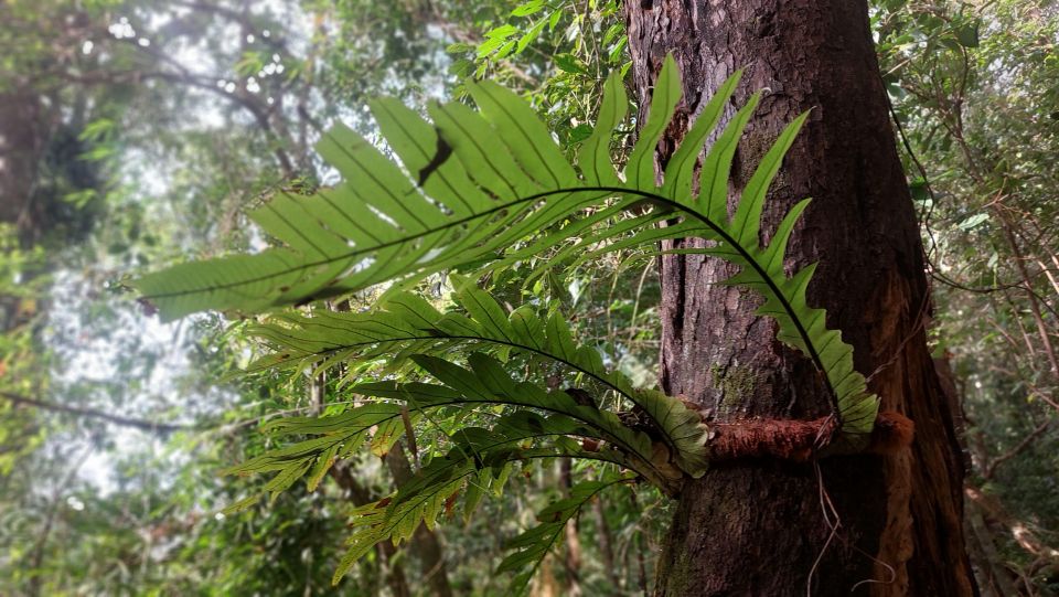 One-Day Tour in Kampot-Kep Including Bokor Nationalpark - Frequently Asked Questions