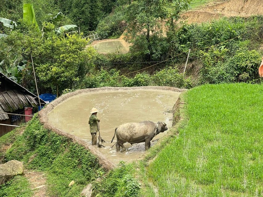 ONE DAY TREKKING MUONG HOA VALLEY - Frequently Asked Questions