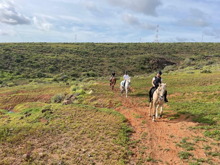 One Hour Horse Riding Tour in Gran Canaria - Frequently Asked Questions