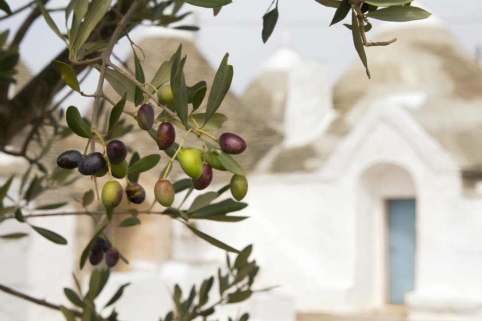 Ostuni Countryside: Wine Tasting and Lunch in a Masseria - Frequently Asked Questions