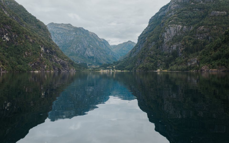 Øystese: Hardangerfjord RIB Safari to the Fyksesund Branch - Frequently Asked Questions