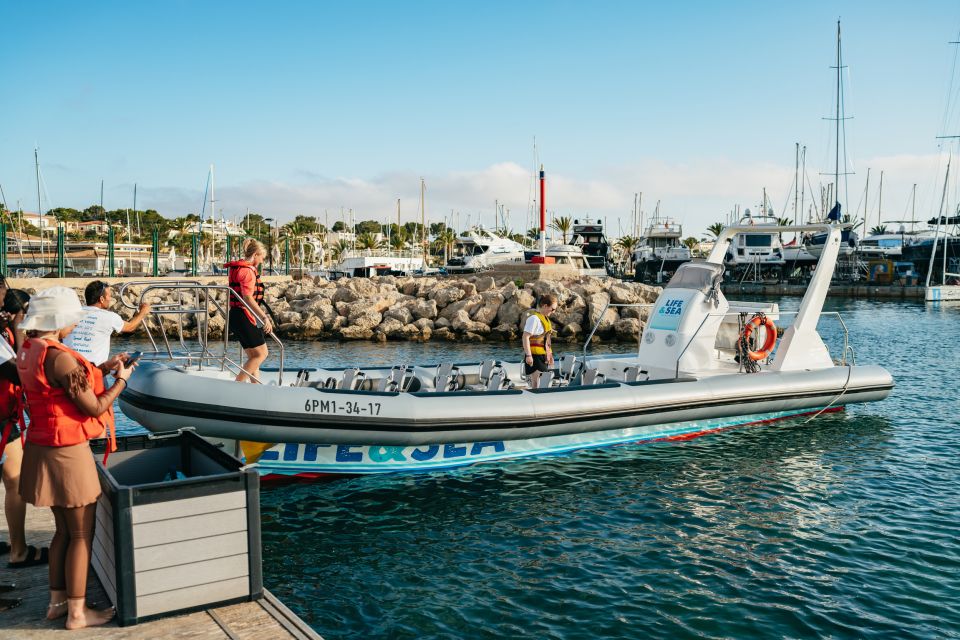 Palma Bay: 1-Hour Speedboat Adventure - Frequently Asked Questions