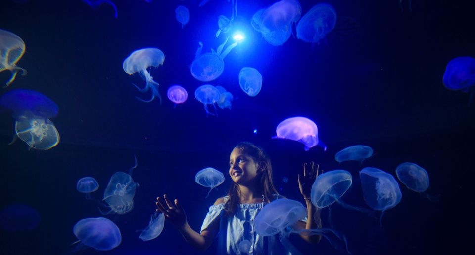 Palma: Palma Aquarium Ticket With Transfer Service - Frequently Asked Questions