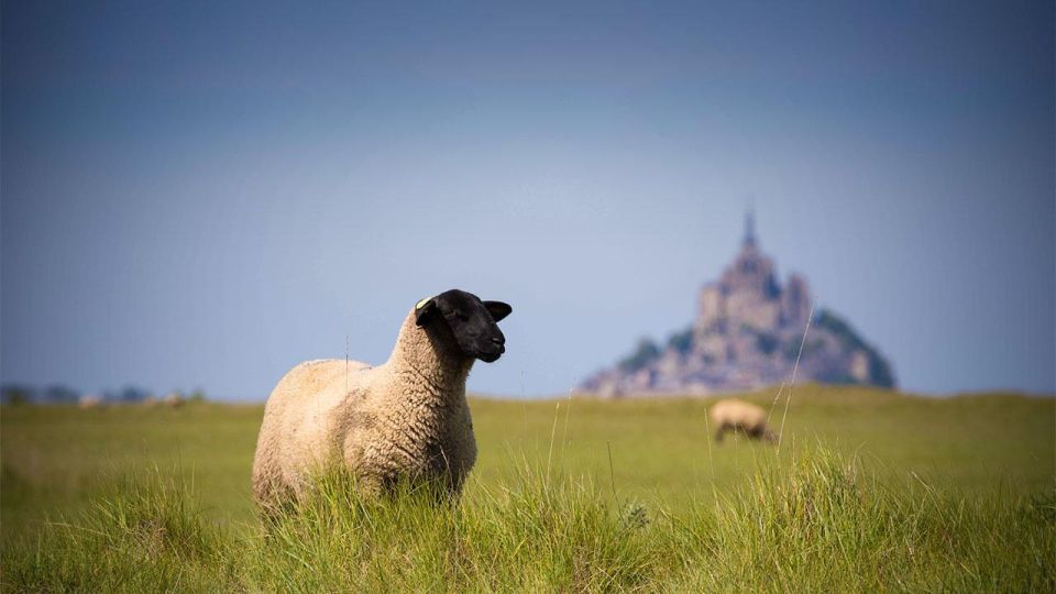 Paris: Private Excursion Paris - Mont Saint Michel - Frequently Asked Questions