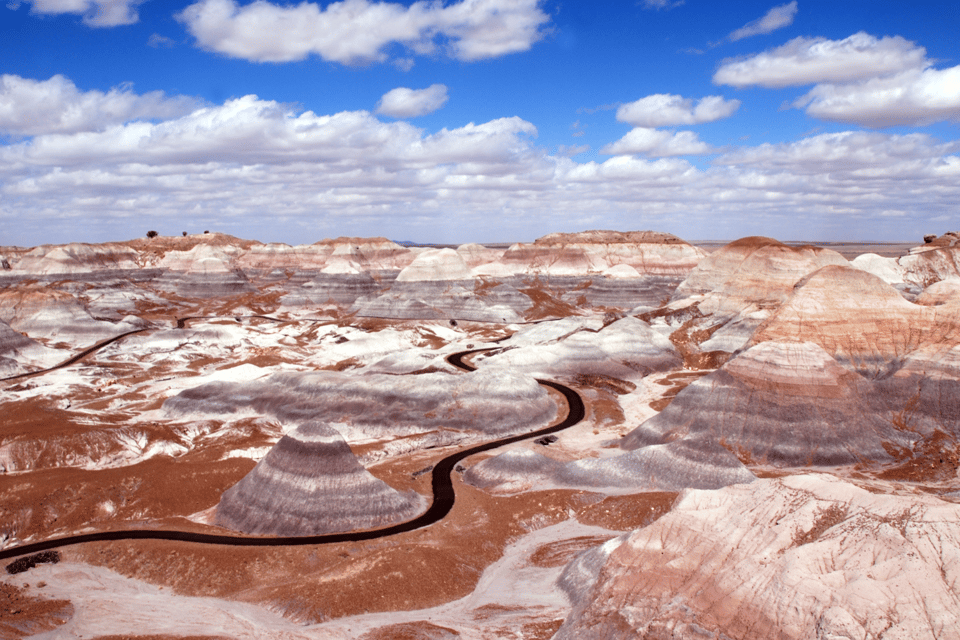 Petrified Forest National Park: Scenic Driving Tour - Frequently Asked Questions