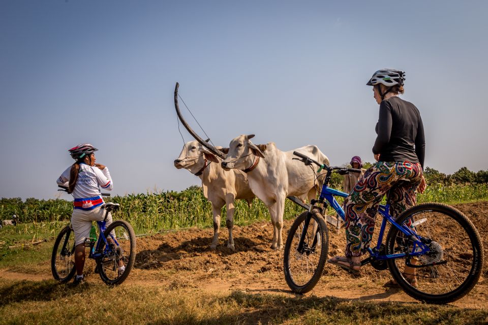 Phnom Penh: Mekong Islands & Silk Islands Guided Bike Tour - Frequently Asked Questions