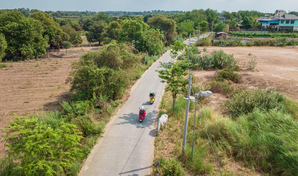 Phnom Penh Silk Island Sunset Haft Day Vespa Tour - Frequently Asked Questions