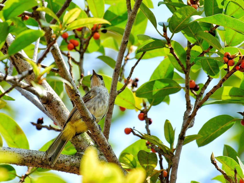 Phu Quoc HIKING Tour: National Park - Fishing Village - Frequently Asked Questions