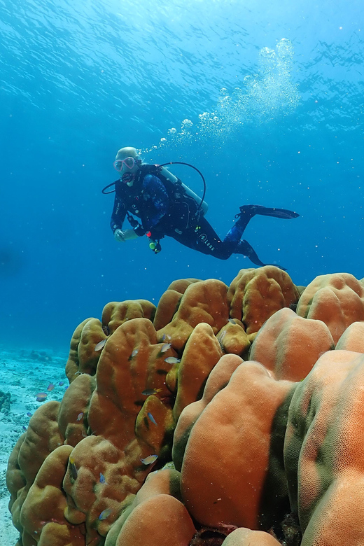 Phuket: Try SCUBA DIVING Full Day Experience 3 Dives - Frequently Asked Questions